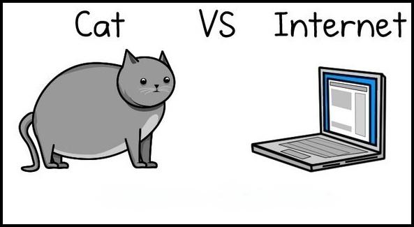 Kaķis pret internetu