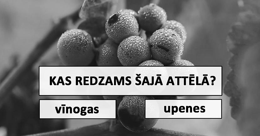 Vai vari atpazīt šos augļus, ogas un dārzeņus, ja neredzi to patieso krāsu?