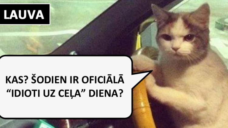 Lūk, kā automašīnu vada dažādas zodiaka zīmes