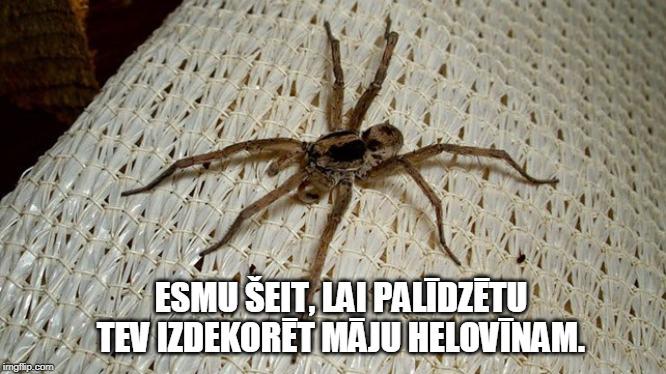 Pievienoja StāvNoVakardienas Autors: EV1TA Konkurss: Izveido Halovīna memīti un tiec pie labumiem
