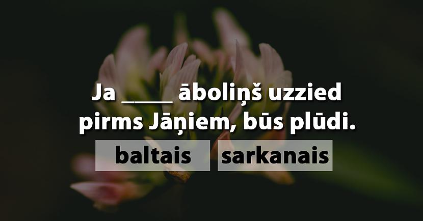Tests: Ievieto trūkstošos vārdus ticējumos par vasaru