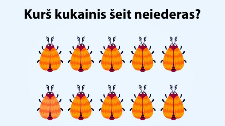 Uzmanības tests: Vai vari atrast atšķirīgo kukaini 15 attēlos?