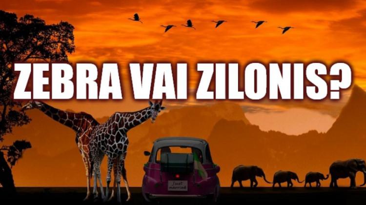 Tests: Kurš no šiem ir lielāks?