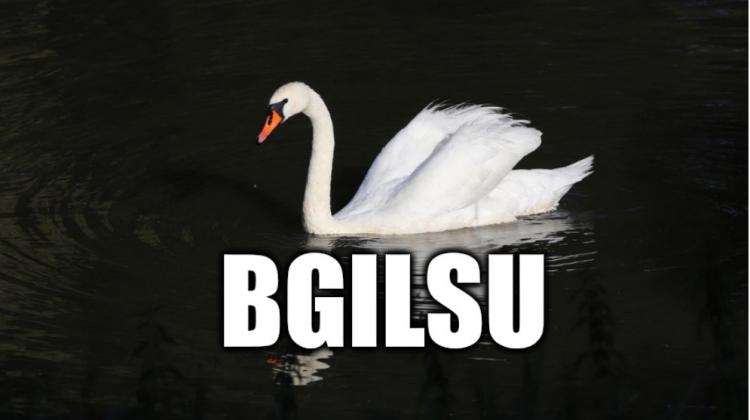 Tests: Saliec burtus pareizā secībā un iegūsti Latvijā sastopama putna nosaukumu