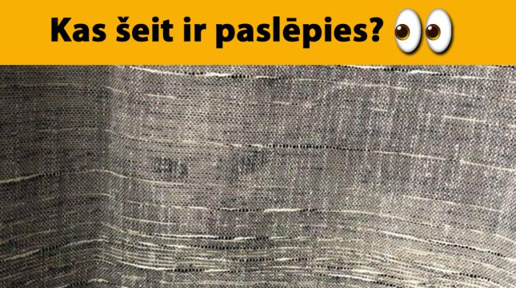 Tests: Vari atrast dzīvniekus un priekšmetus, kas paslēpušies šajos attēlos?