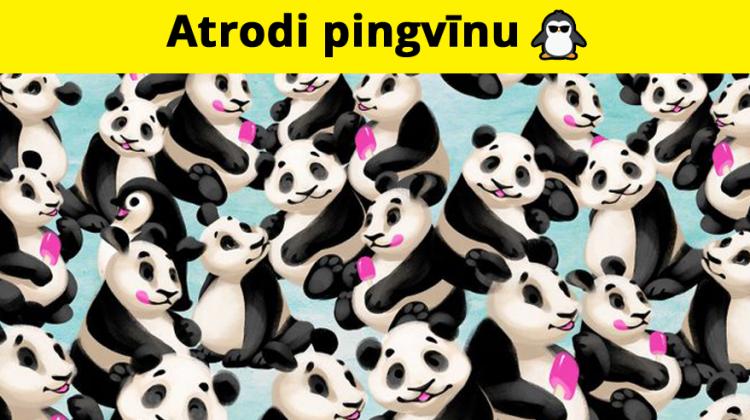 Tests: Pierādi, ka tev ir ērgļa redze, un atrodi šajos attēlos to, kas neiederas