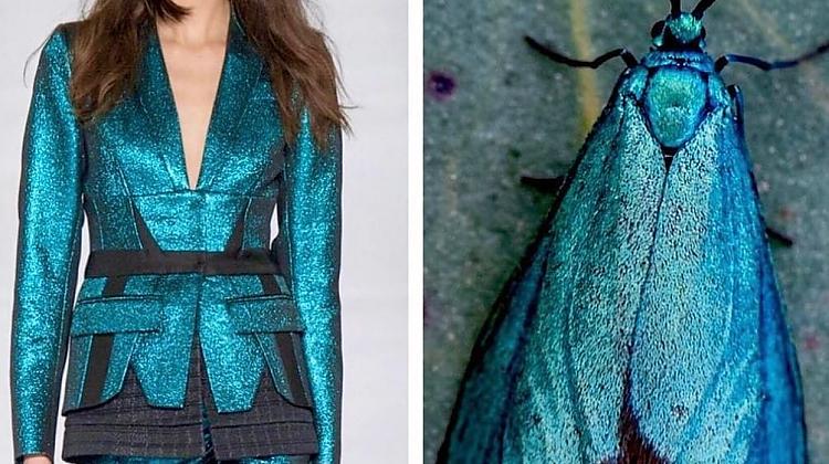 Modes blogere parādīja, cik ļoti daba iedvesmo modes dizainerus veidojot tērpus