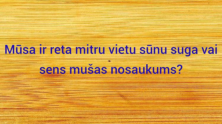 Īso vārdu tests: 😉 Vai tu zini, kas tas ir? 15. daļa