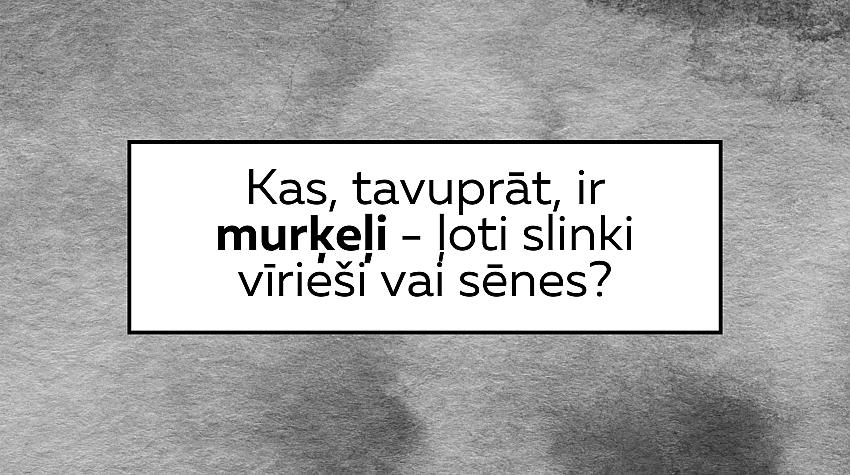 Īso vārdu tests: 😉 Vai tu zini, kas tas ir? 17. daļa