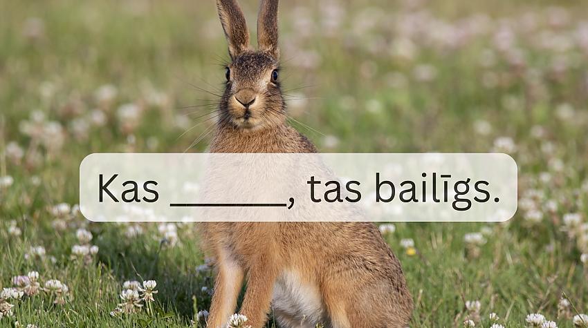Tests: Ievieto trūkstošo vārdu šajos latviešu sakāmvārdos un parunās