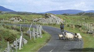 Īrija Autors: darons 10 labākās vietas atpūtai uz velosipēda...