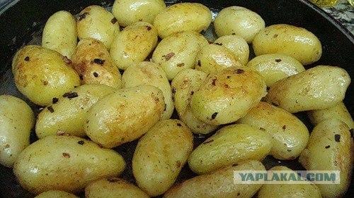 Kartupeļi jeb buļbas ieņem... Autors: darons Top 15 uzkodas degvīnam.. :D