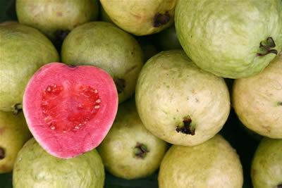 Guavu bieži sauc par... Autors: laforeta Vēl 10 eksotiskie augļi