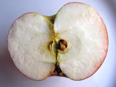 Viens ābols dienā paglābs jūs... Autors: laforeta Dīvainākās "delikateses"