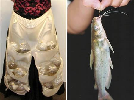 51 dzīvu zivi no Singapūras... Autors: KinDzaDza Dīvainā kontrabanda