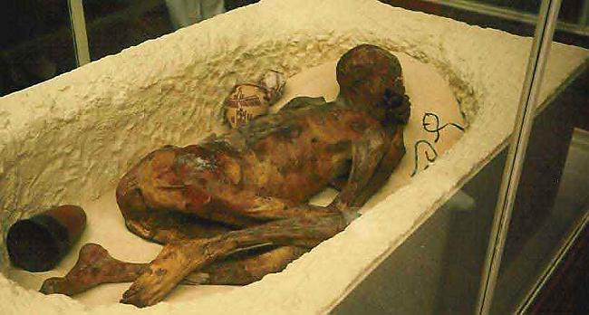 Mūmija ĒgipteMūmija ir mironis... Autors: mortal sin Radījumi.