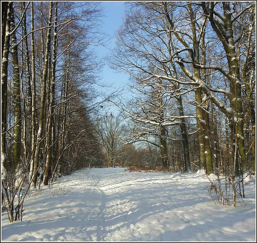  Autors: stokijs Zolitude pēc sniegputeņa
