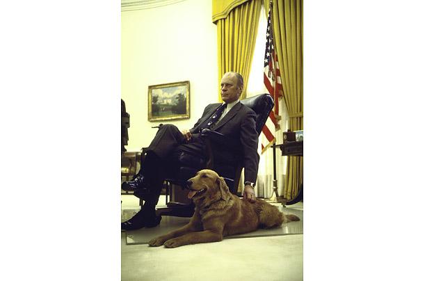 Džeralds Fords un zelta... Autors: aisse Valsts pirmie suņi