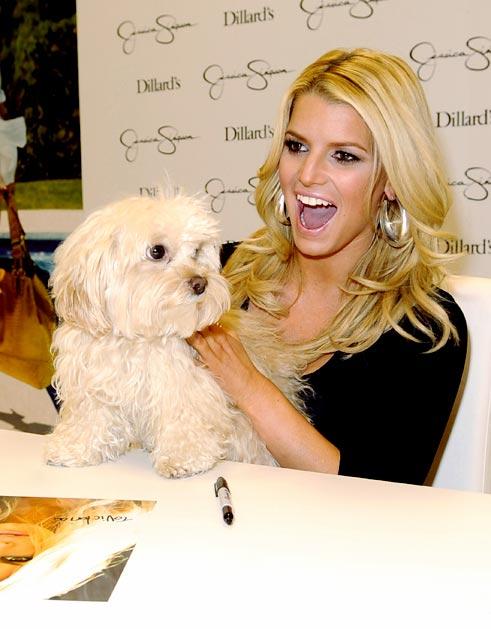 Jessica Simpson and Daisy Autors: Fosilija Slavenības ar saviem suņiem :)