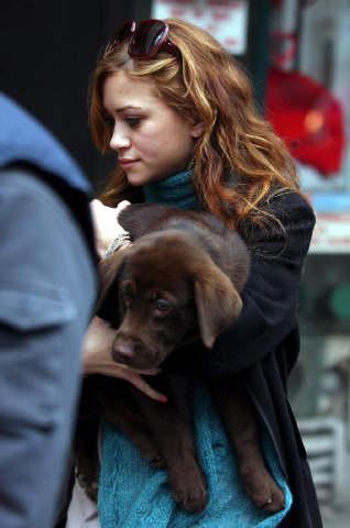  Mary Kate Olsen and Luca Autors: Fosilija Slavenības ar saviem suņiem :)