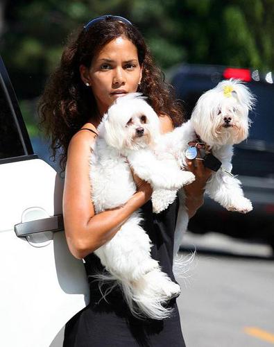 Halle Berry with her dogs ... Autors: Fosilija Slavenības ar saviem suņiem :)