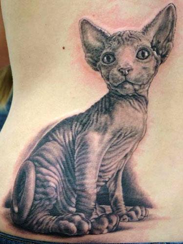 Dzīvnieku TattooŠos... Autors: nariks Tetovējuma Nozīme!