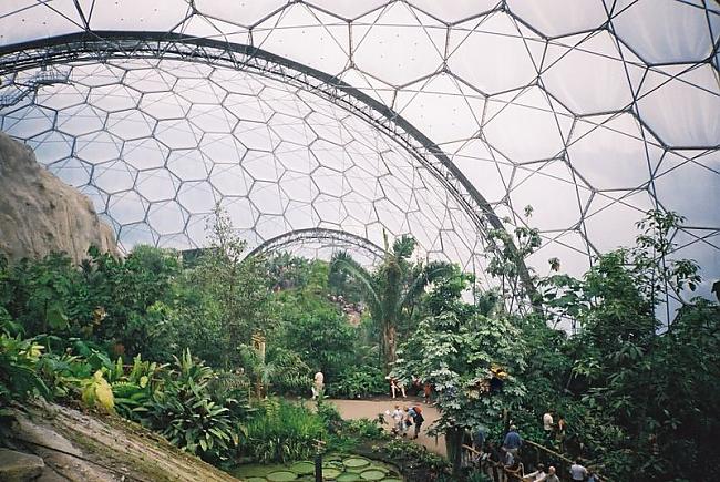 Ēdenes projekta tropu biodoms Autors: Eglers Botaniskie dārzi.