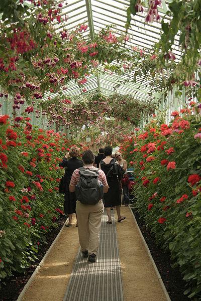 Laakenas siltumnīcas koridors... Autors: Eglers Botaniskie dārzi.