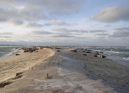  Autors: Anon Mistika : Sable Island