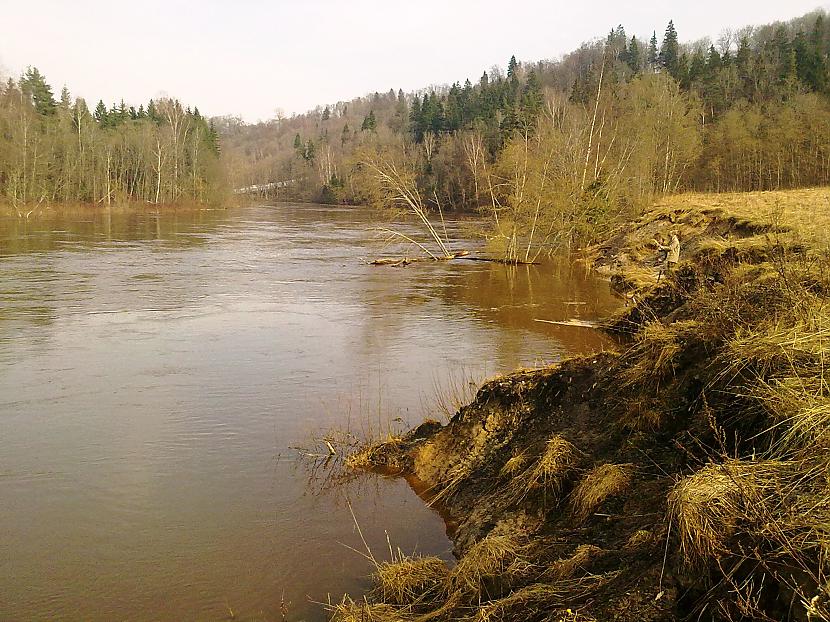  Autors: Pulkvede Bikiņj gar Gauju pabraukājām