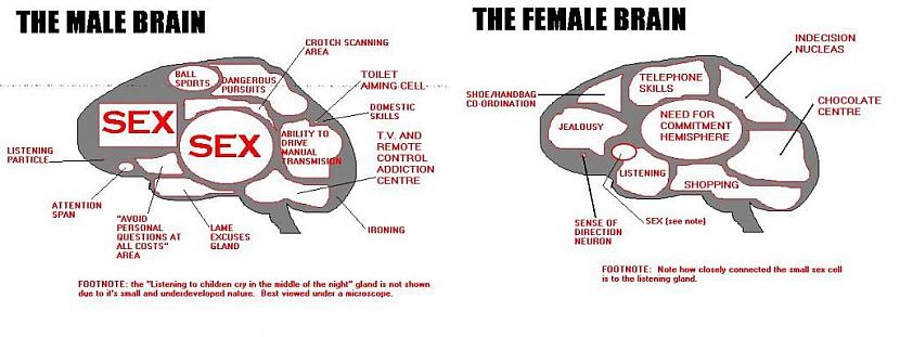  Autors: Elysh Men vs Women