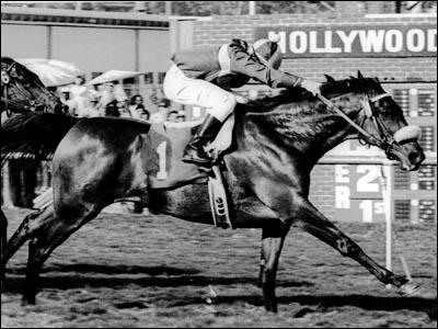  John Henry 1980tie gadi bija... Autors: kyra Famous Horses 2. Legendary Racehorses.