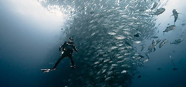 Cocos Island Kostarika Autors: atili nirstam ūdeņos