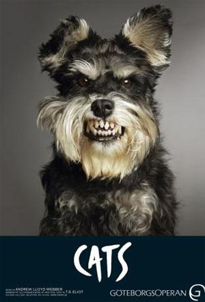 GteborgsOperan Musical Cats 3 Autors: magenta 160 kreatīvas un uzmanību cienīgas reklāmas no visas pas