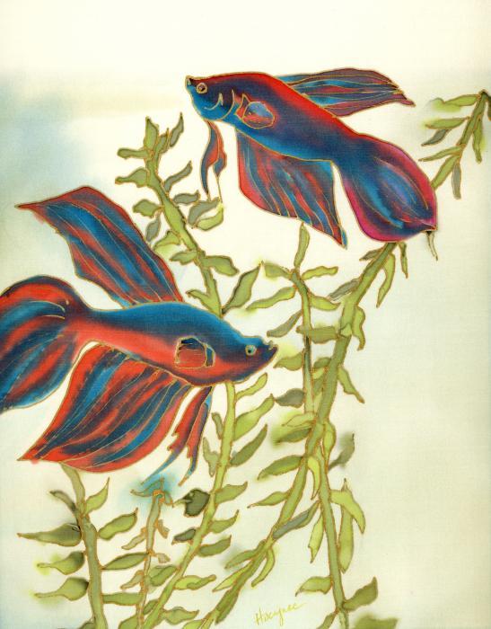  Autors: ilzeitja Gailītis - Betta splendens