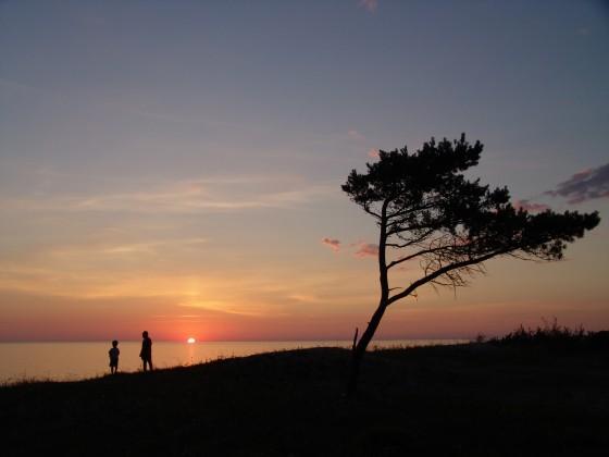 Tu vari zaudēt pamest visu bet... Autors: Fosilija Summer nights. :).