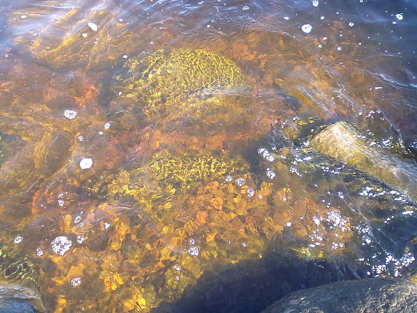  Autors: Grandsire Vējainā pastaiga...