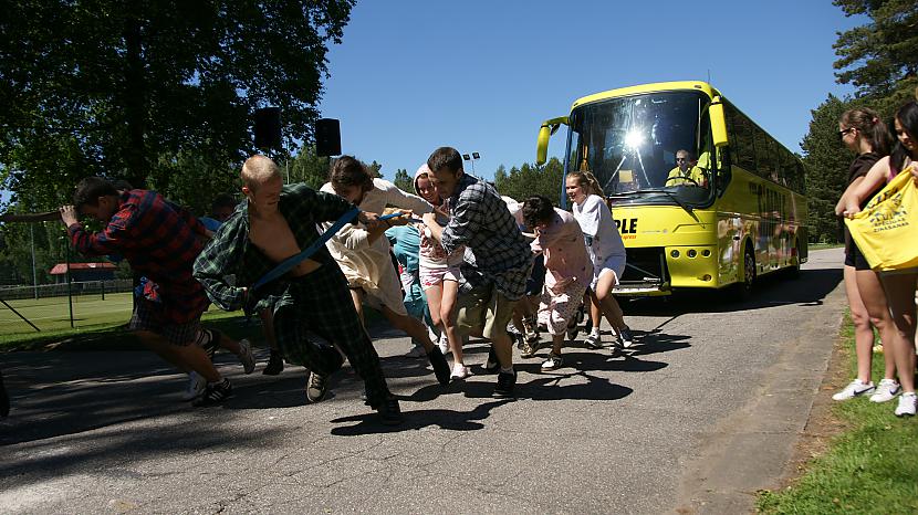  Autors: AndrisZalais Vilkām autobusu