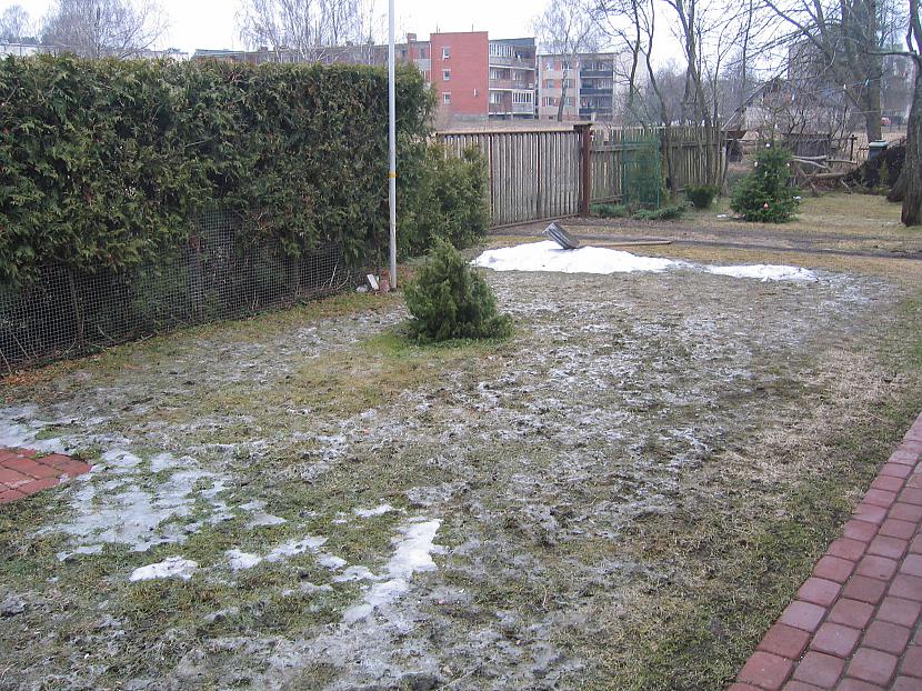 Sniegs jau gandrīz nokusis Autors: Sonorsky Ziema un agrs pavasaris!