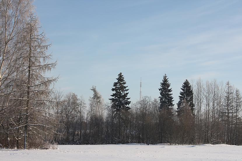  Autors: edelveis Ziemas atmiņas