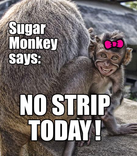 quotNo strip todayquotsaka... Autors: dzekinshjanis Paris Hilton VS monkey