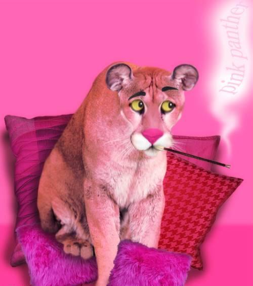 Pink Panther Autors: tifaanija Ja multeņu tēli būtu reāli