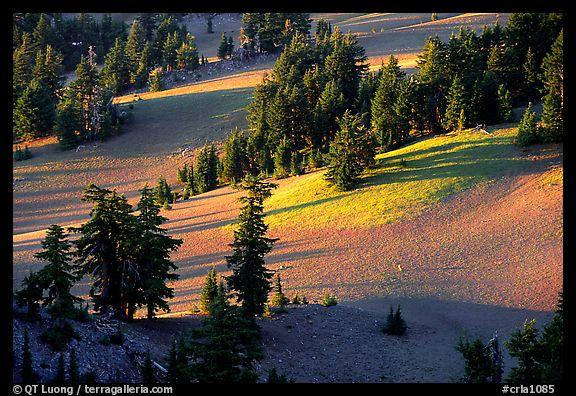  Volcanic hills and pine trees Autors: Rampage Skaisti dabas skati  :)