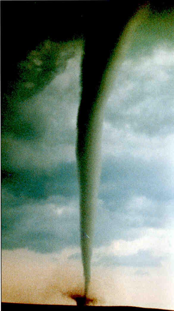  Autors: Fosilija Tornado