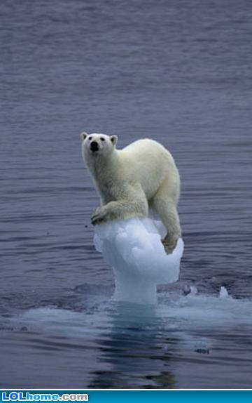 Ja izkustu Antarktika ūdens... Autors: brālis lācis Fakti par Zemi.