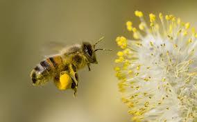 Dažādos dzīves periodos darba... Autors: serea Bites un medus