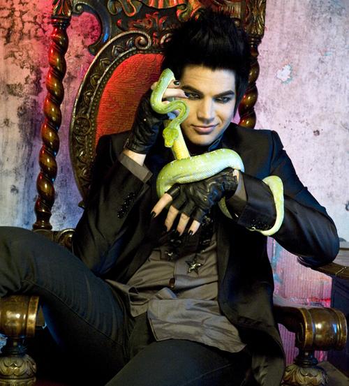 For Your Entertainment Autors: beciitis Adam Lambert. The best... :)