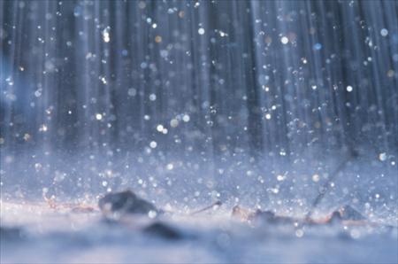 2000 mm lietus ir mazākais... Autors: edjix 2.Vai tu zināji(Lietusmežs)