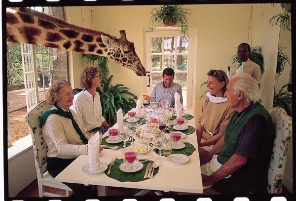 The Giraffe Manor East Africa... Autors: Grandsire Trakākās viesnīcas...