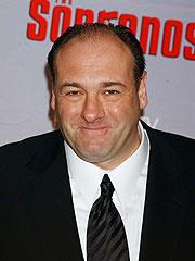 5James Gandolfini no seriāla... Autors: lohanhot 2009 gada Top 10 apmaksātās TV zvaigznes.